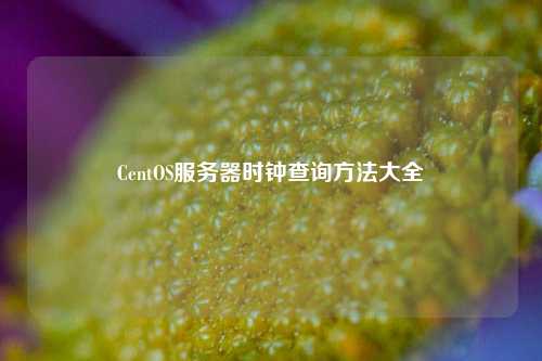 CentOS服務(wù)器時(shí)鐘查詢方法大全