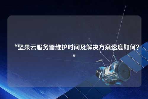 “堅(jiān)果云服務(wù)器維護(hù)時(shí)間及解決方案速度如何？”