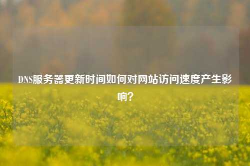 DNS服務(wù)器更新時間如何對網(wǎng)站訪問速度產(chǎn)生影響？