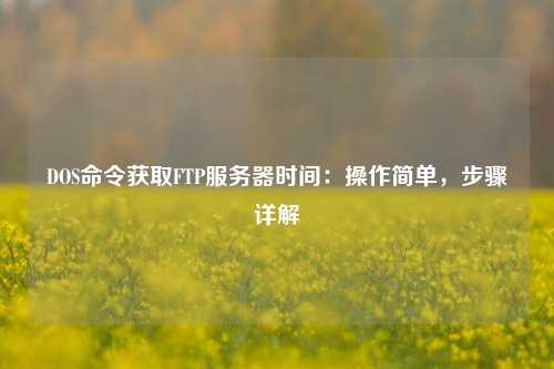 DOS命令獲取FTP服務(wù)器時間：操作簡單，步驟詳解